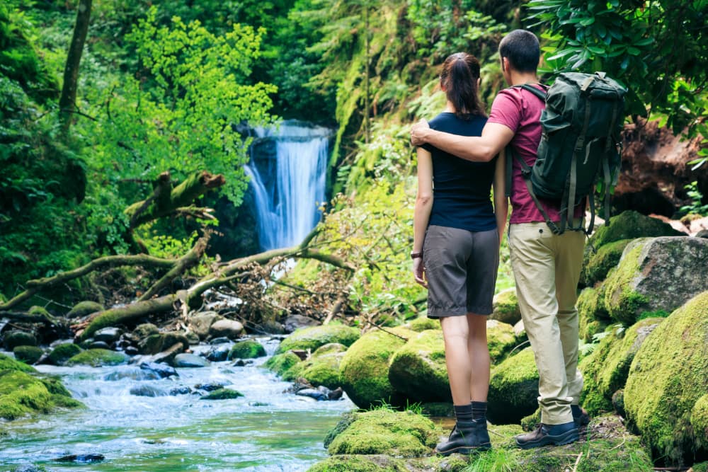 A couple stands together by a serene stream, gazing at a waterfall surrounded by lush greenery.