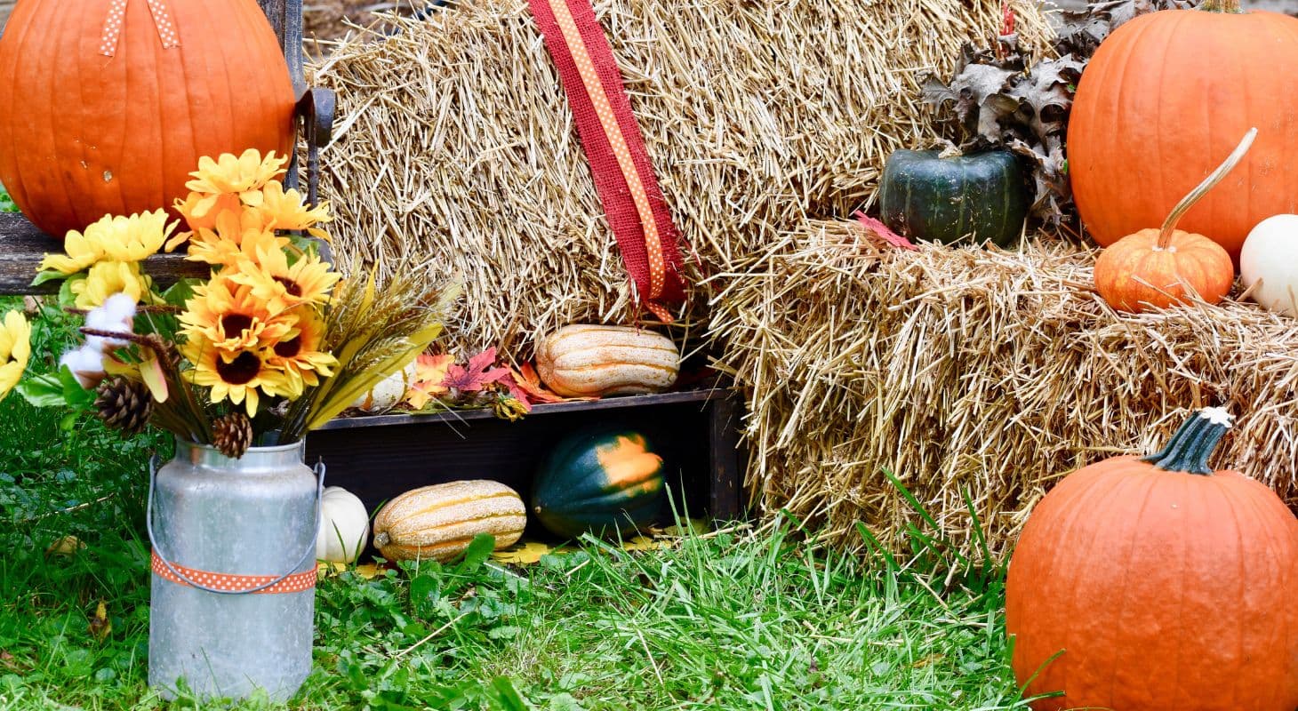 A display of pumpkins, gourds, and a vase of sunflowers against a backdrop of hay bales. A display of pumpkins, gourds, and a vase of sunflowers against a backdrop of hay bales.