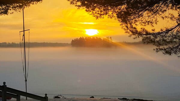 A golden sunrise casts a warm glow over a misty landscape with silhouetted trees on an island.