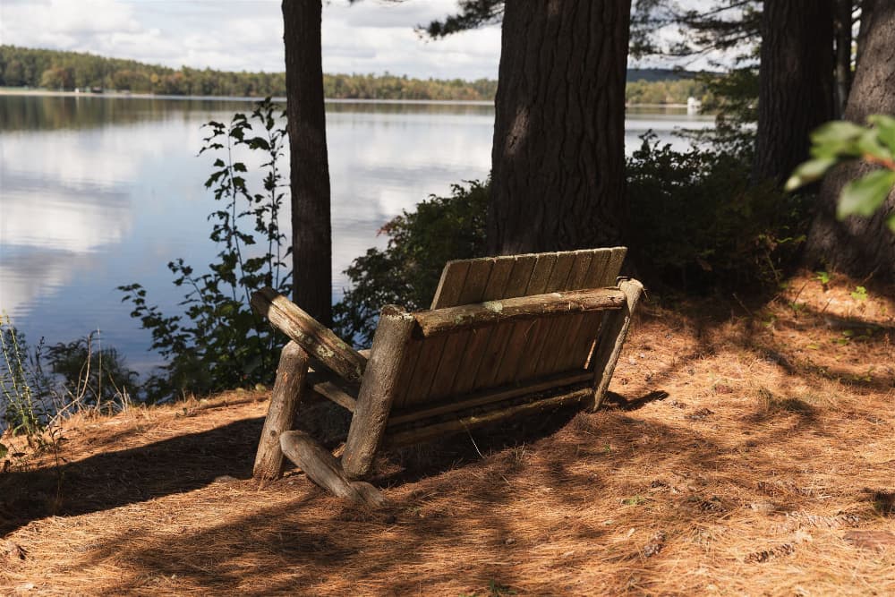A rustic wooden bench overlooks a serene lake surrounded by trees.