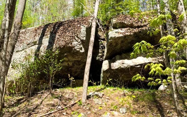 A large rock formation partially covered with leaves, surrounded by greenery and trees.