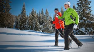Two people cross-country skiing in a snowy landscape, surrounded by evergreen trees.