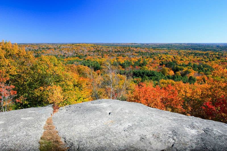 A panoramic view of a vibrant autumn landscape with colorful trees beneath a clear blue sky.