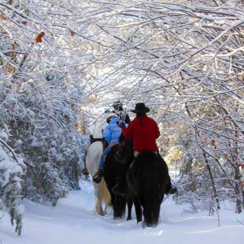 Two horseback riders navigate a snow-covered trail under trees adorned with frost.