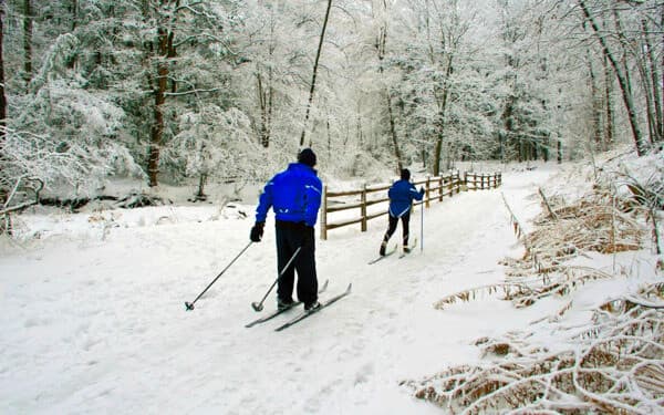 Two skiers in blue jackets traverse a snow-covered trail surrounded by trees.