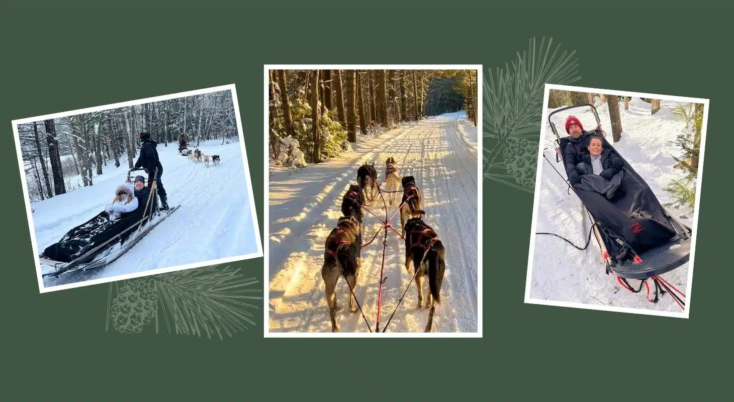 Three images of people enjoying dog sledding in a snowy, forested landscape.