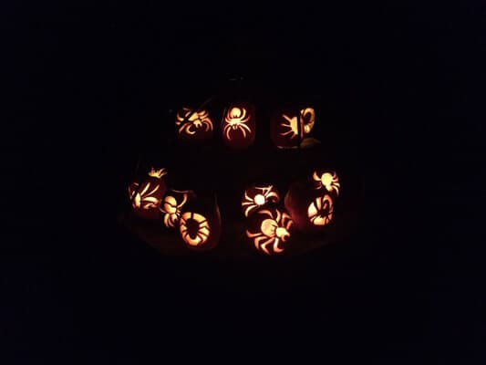 A collection of carved pumpkins with spider designs, glowing against a dark background.