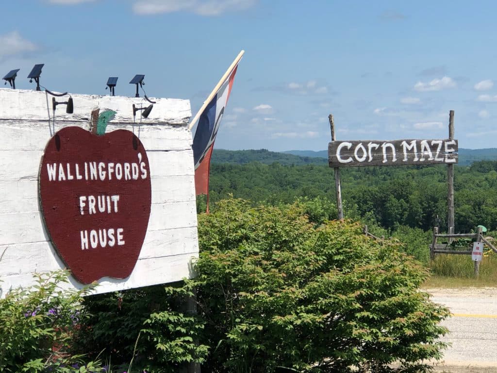 A sign for Wallingford's Fruit House alongside a wooden sign for a corn maze, set against a green, rural landscape.