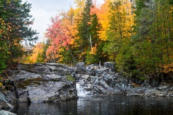 A tranquil river flows over rocks, surrounded by vibrant autumn foliage.