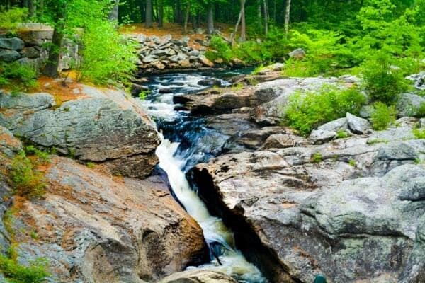A stream flows swiftly between rocky formations in a lush green forest.