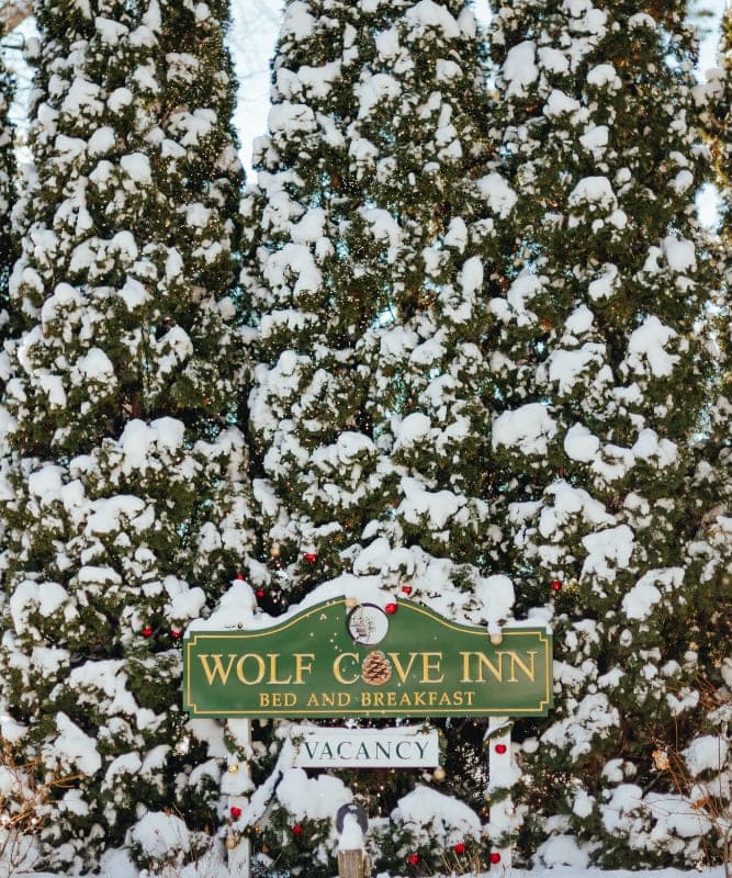 A snow-covered sign for Wolf Cove Inn Bed and Breakfast, surrounded by evergreen trees.