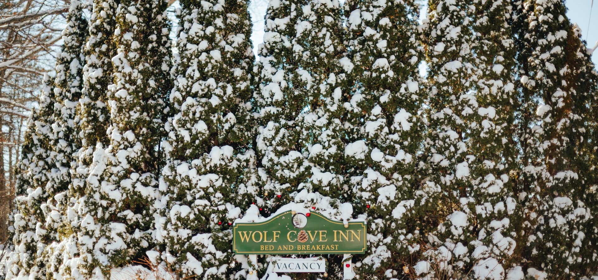 A sign for "Wolf Cove Inn Bed and Breakfast" surrounded by snow-covered trees.