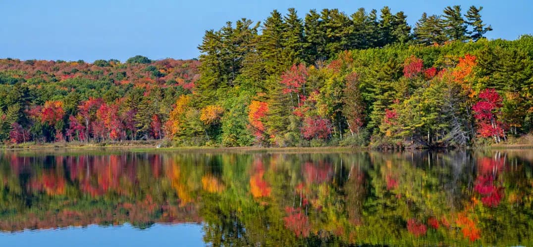 Vibrant autumn foliage reflecting on a calm lake under a clear blue sky. Vibrant autumn foliage reflecting on a calm lake under a clear blue sky.