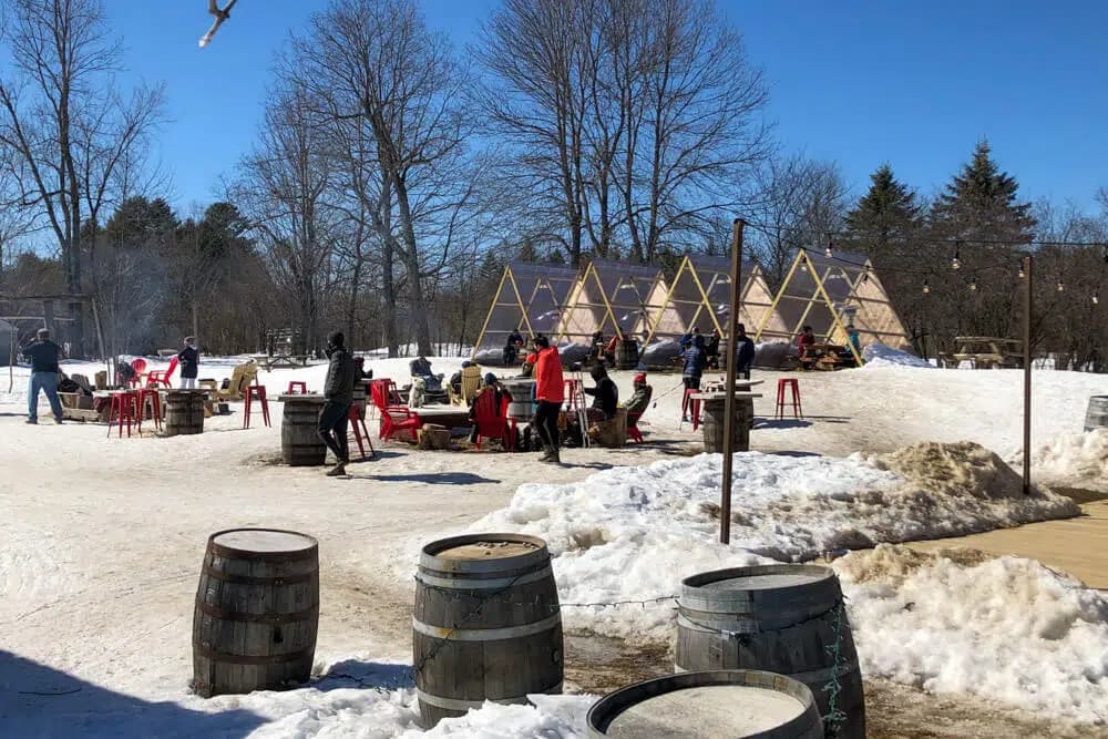 People gather around fire pits in a snowy outdoor setting while enjoying a sunny day.