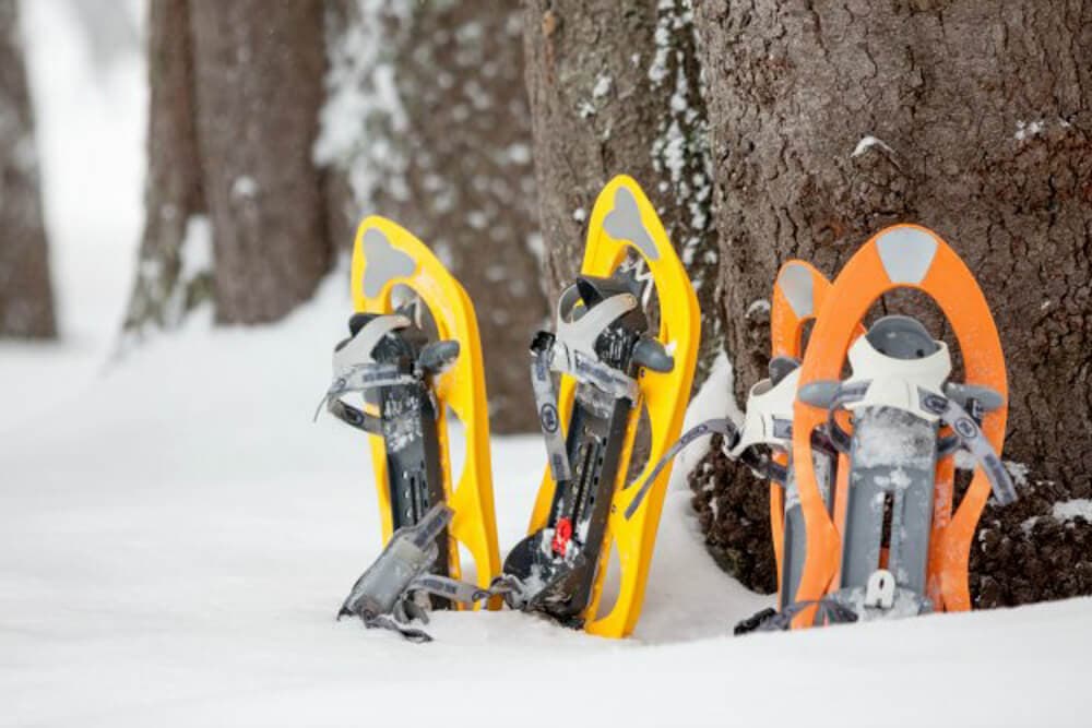 Two pairs of snowshoes, one yellow and one orange, leaning against snow-covered tree trunks.
