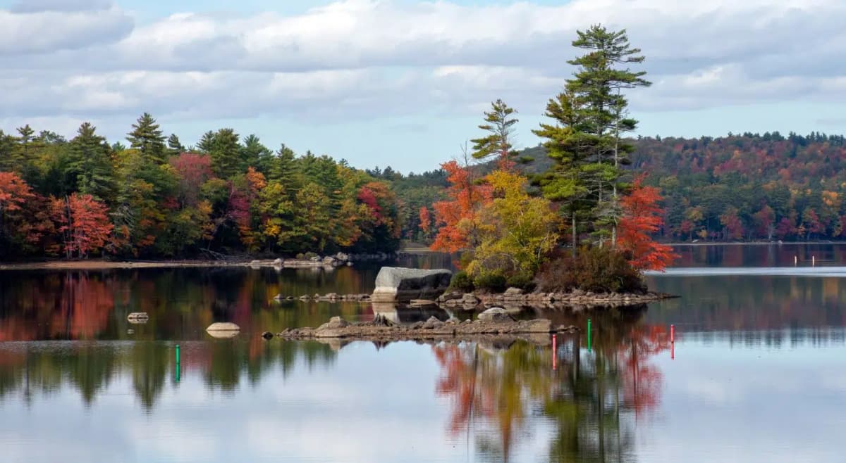 Colorful trees in the fall reflecting in Sebago Lake
