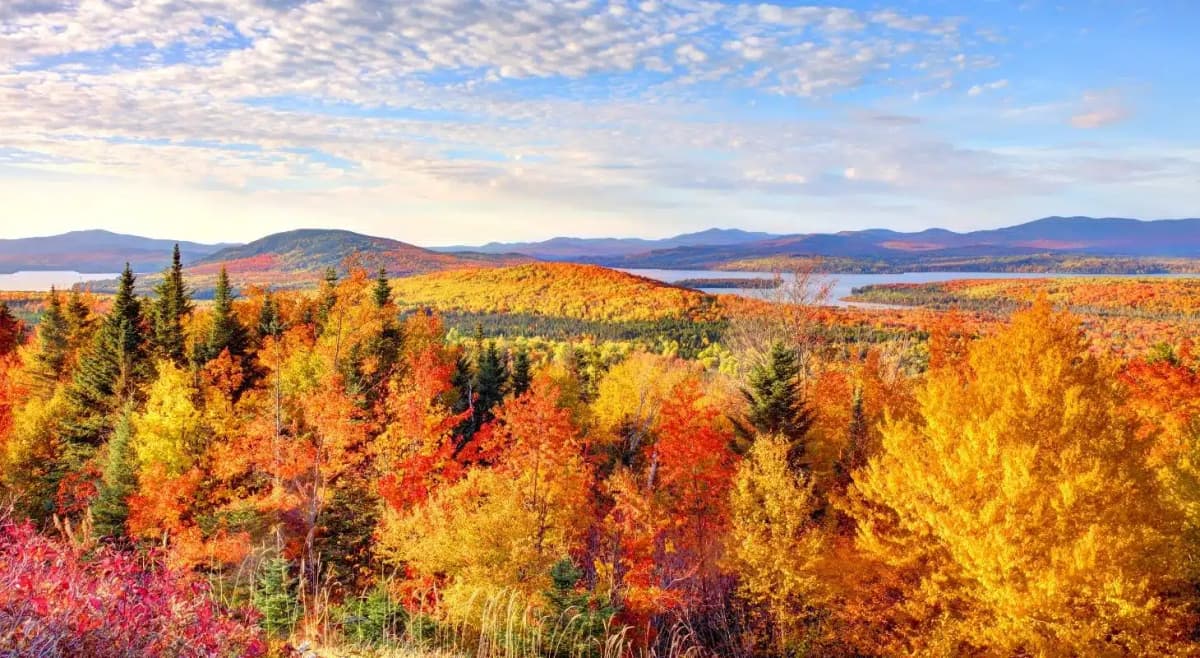 stunning fall foliage in rangeley maine at sunset with a view of rangeley lake and mountains in the background