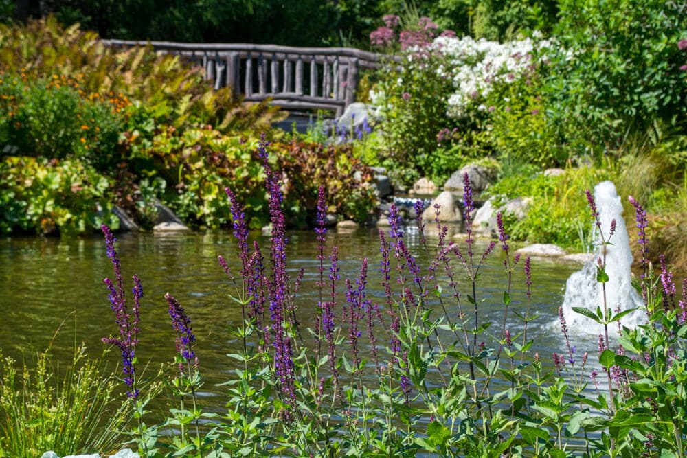 Maine Botanical Gardens pond and fountain