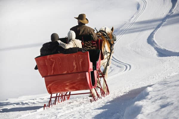 Sleigh Ride Proposing In Maine