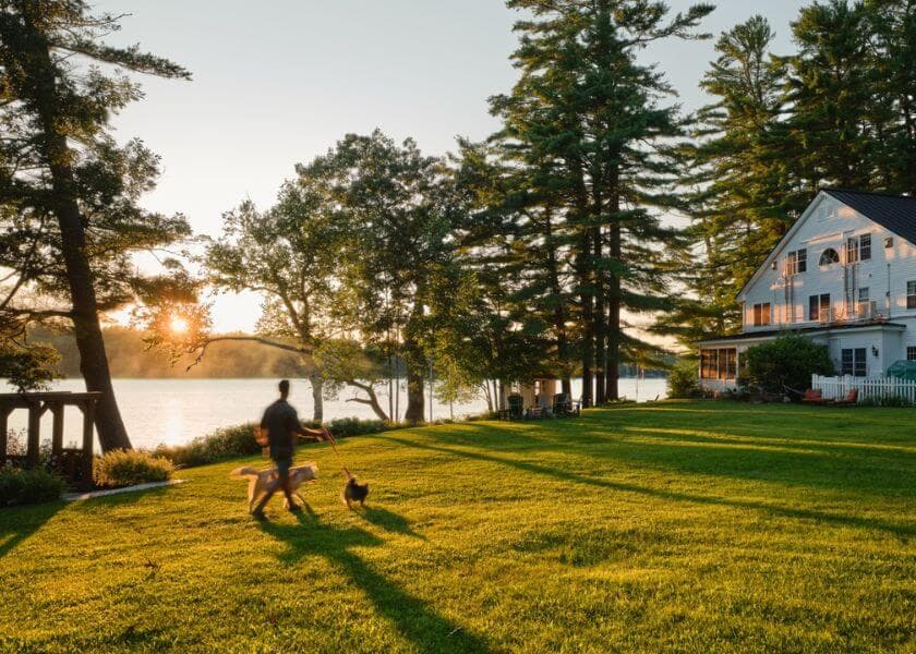 exterior of wolf cove inn, lawn with man and dog walking across against the backdrop of a sunset over tripp lake exterior of wolf cove inn, lawn with man and dog walking across against the backdrop of a sunset over tripp lake