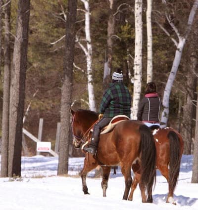 Horseback Proposing In Maine