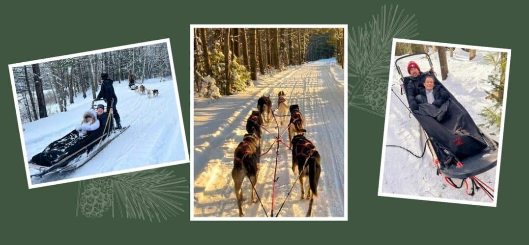 collage of wolf cove inn guests dog sledding