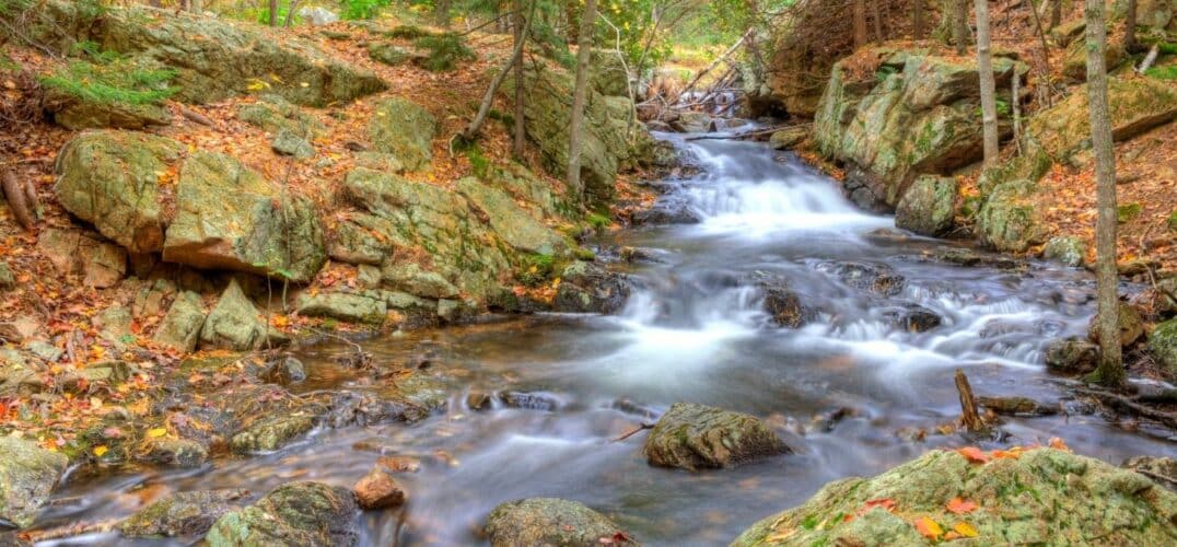 a stream is flowing over rocks in a forest during autumn