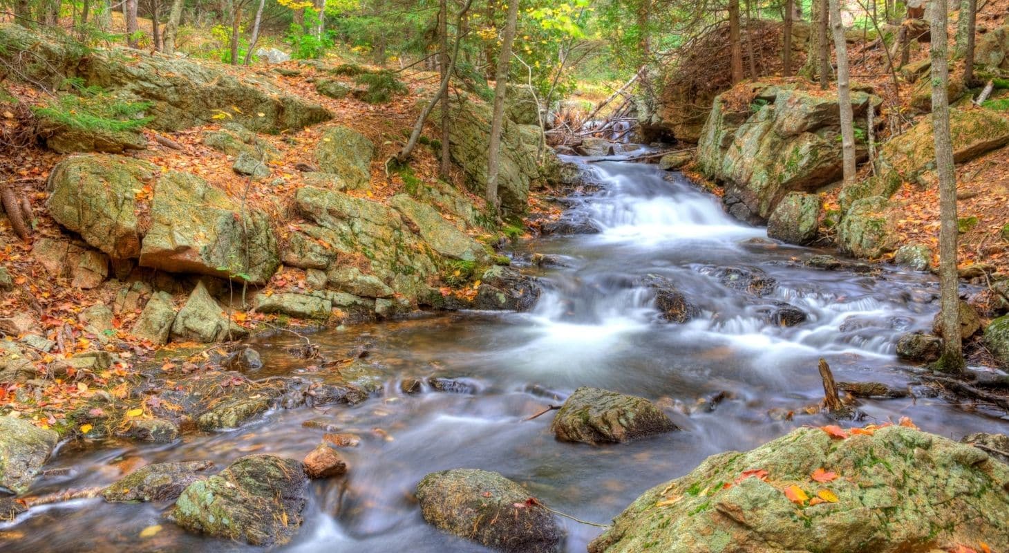 a stream is flowing over rocks in a forest during autumn