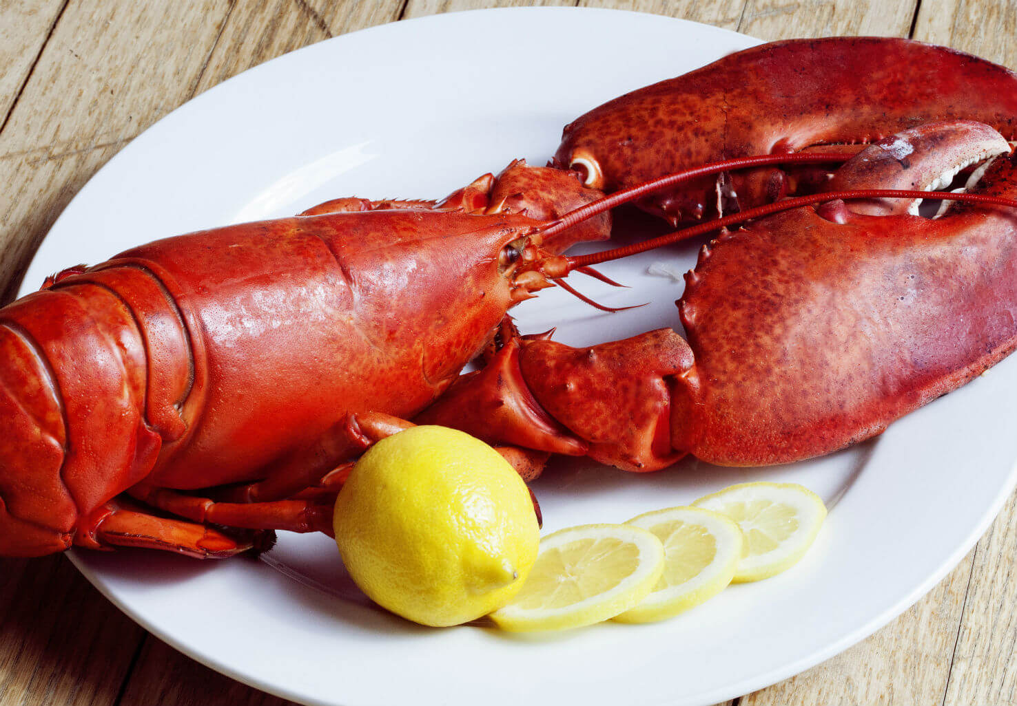 Lobster dinner with lemon