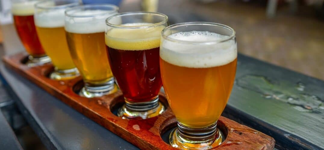 flight of several craft beers lined up on a bartop