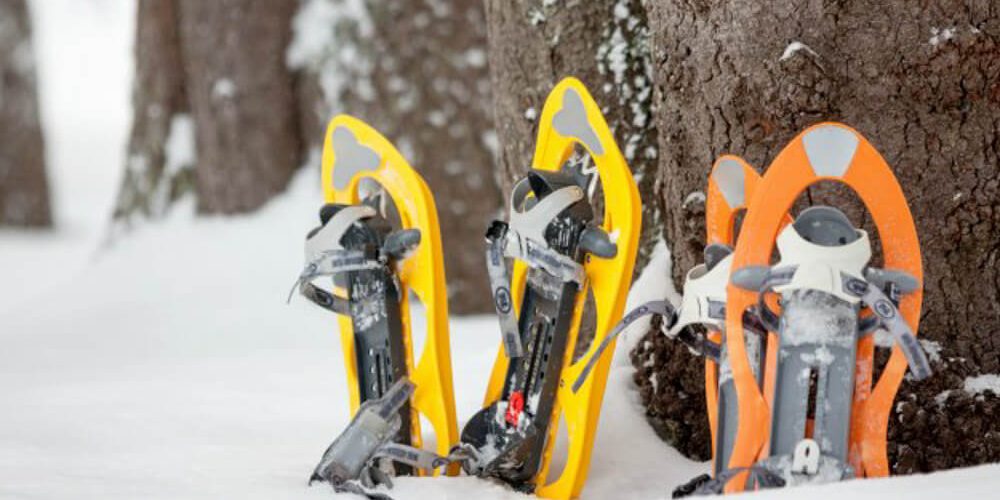 Snowshoes In Snow Against A Tree
