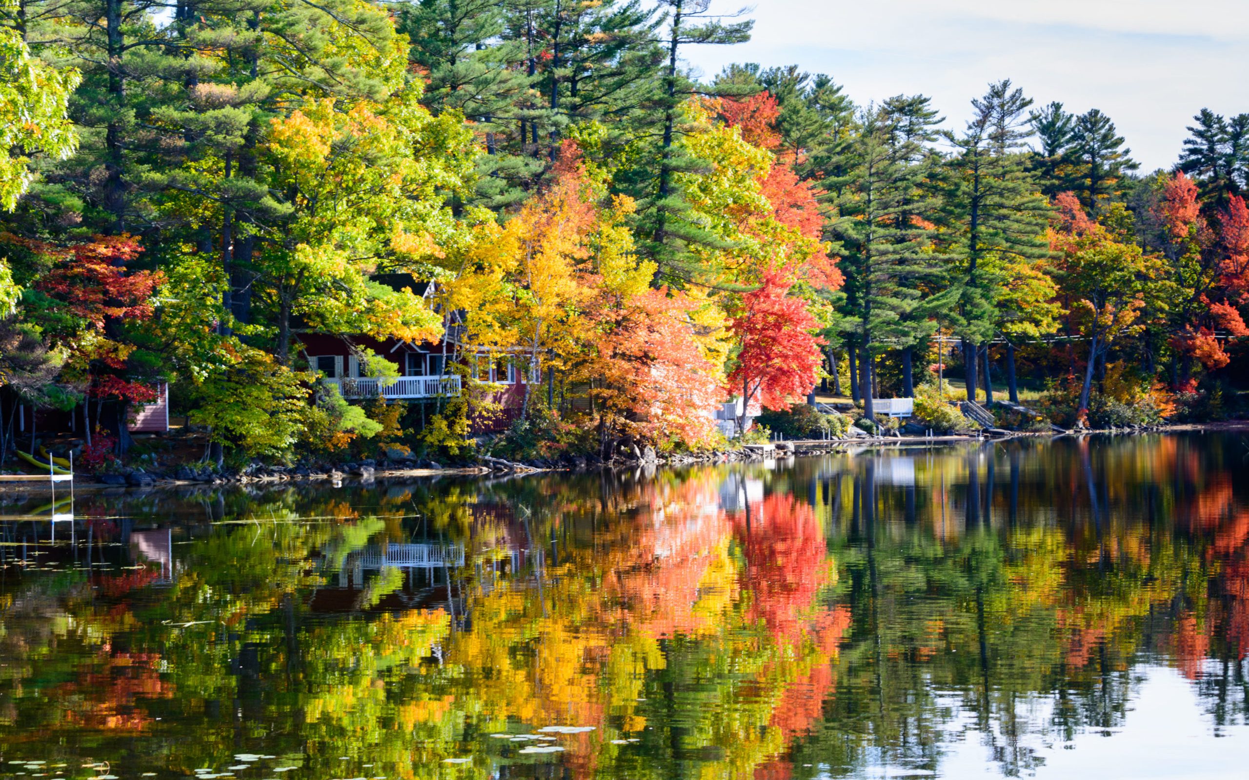 red, yellow, and green foliage reflecting on a lake surface
