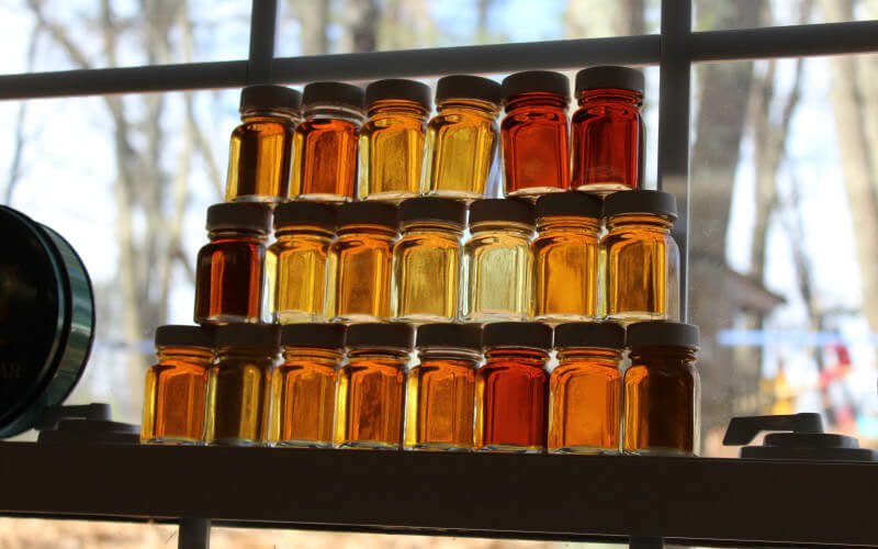 Jars of golden maple syrup on display