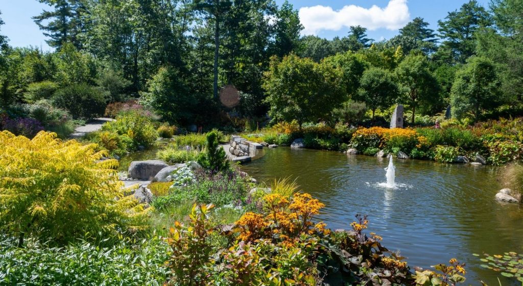 Pond and fountain at Coastal Botanical Gardens in Maine
