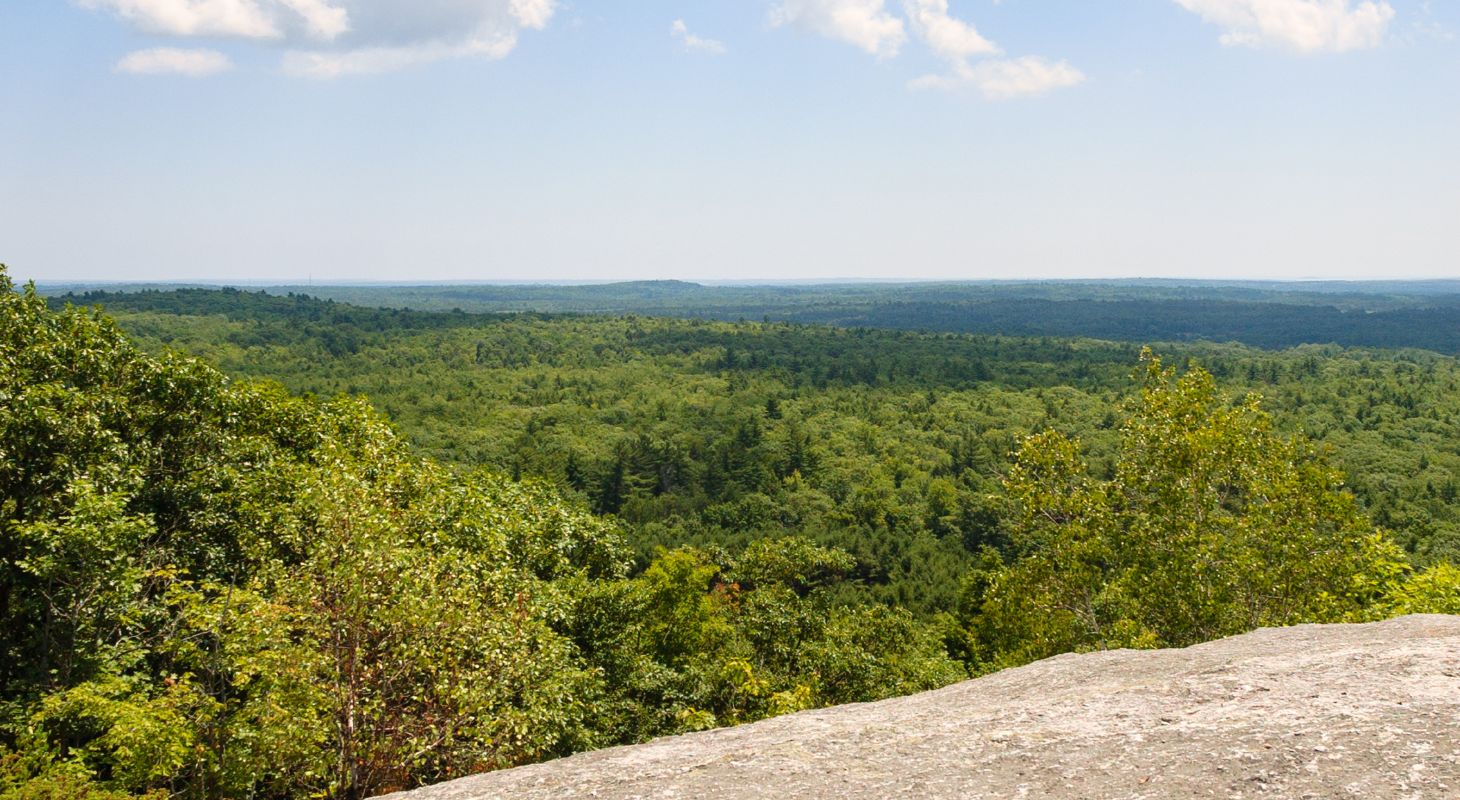 Aerial view of the tree tops from a ledge at Bradbury State Park
