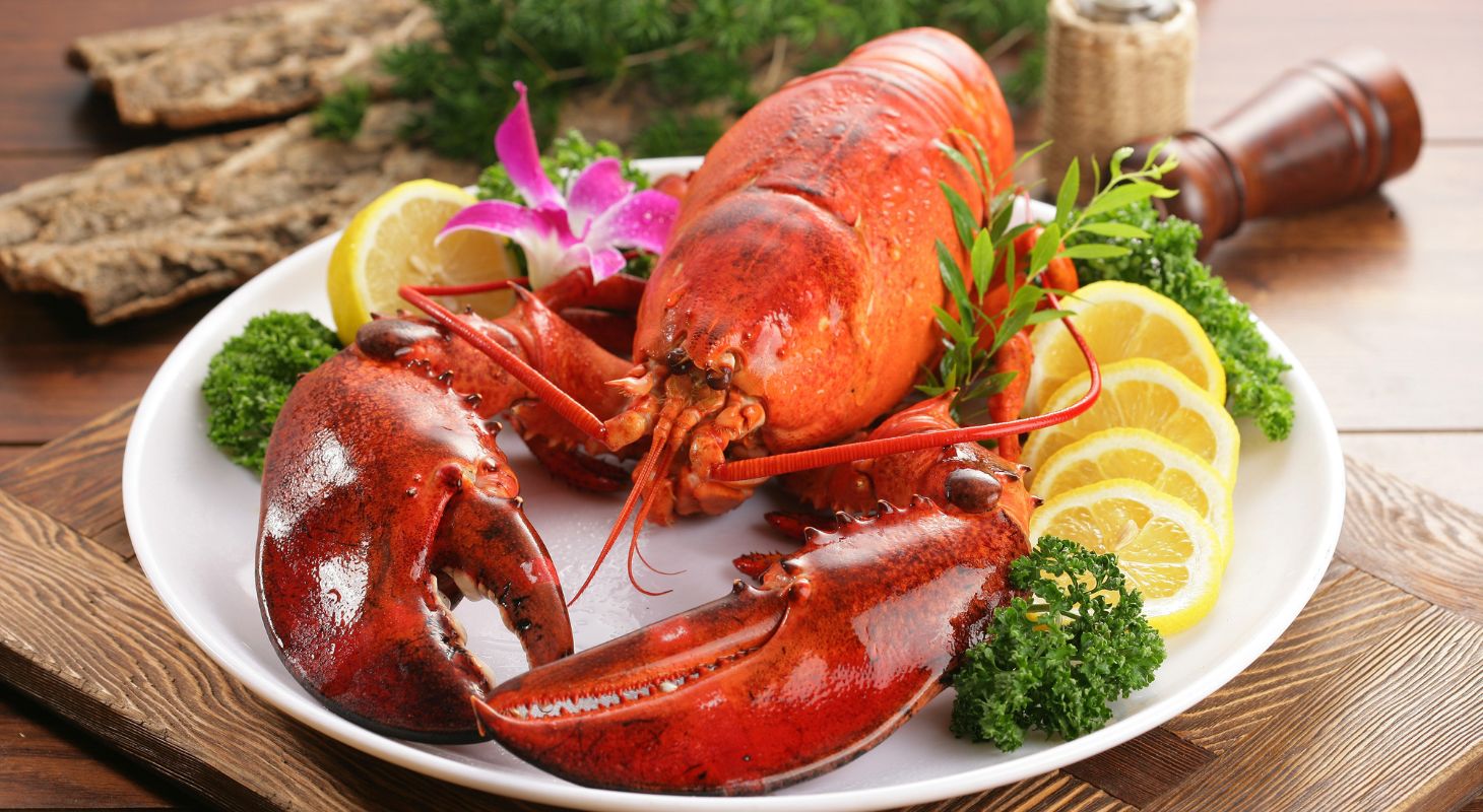 White plate topped with a fresh, red lobster, dressed with greenery and lemon slices.