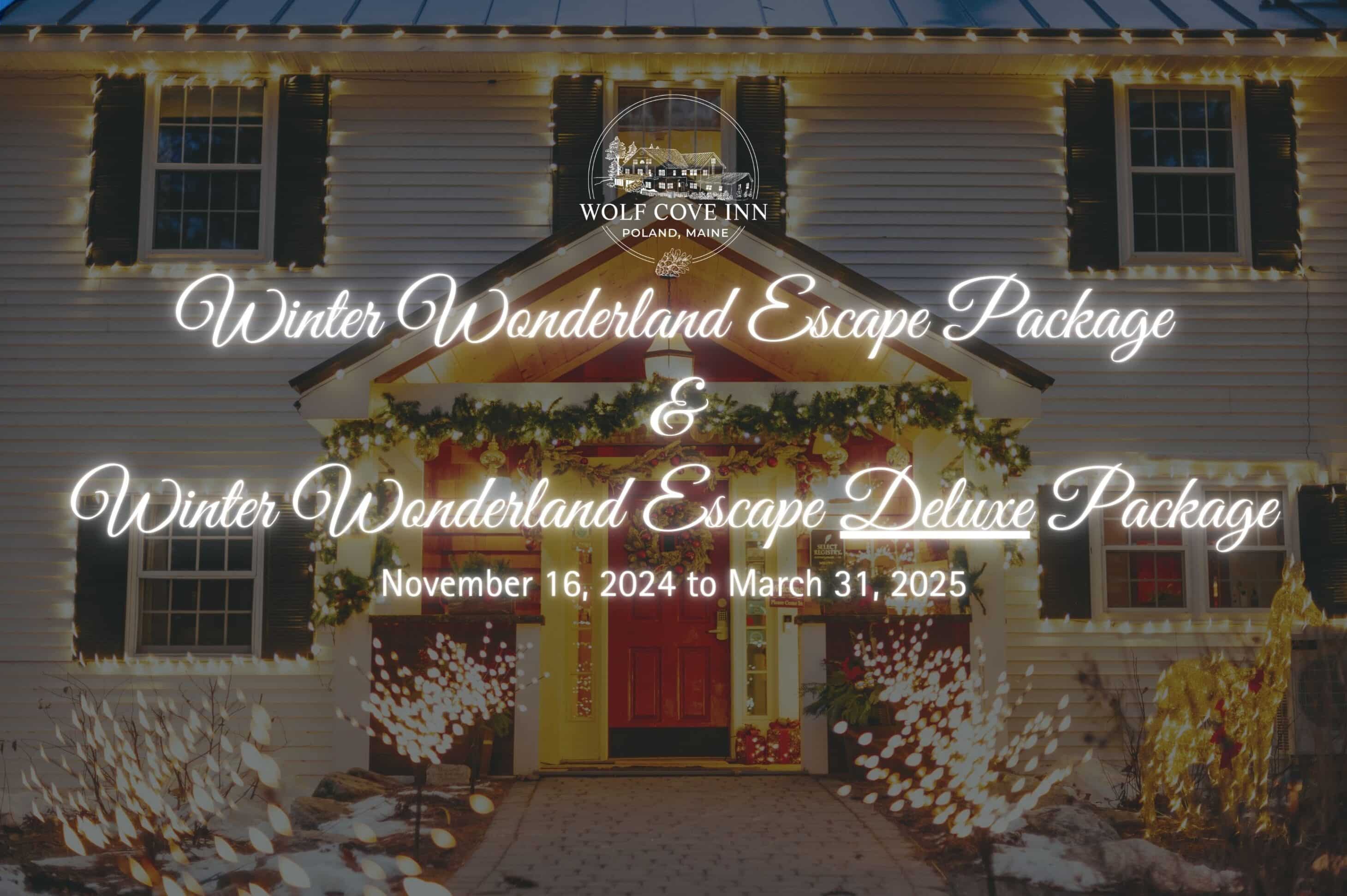 Our Winter Wonderland Escape Package Flyers 