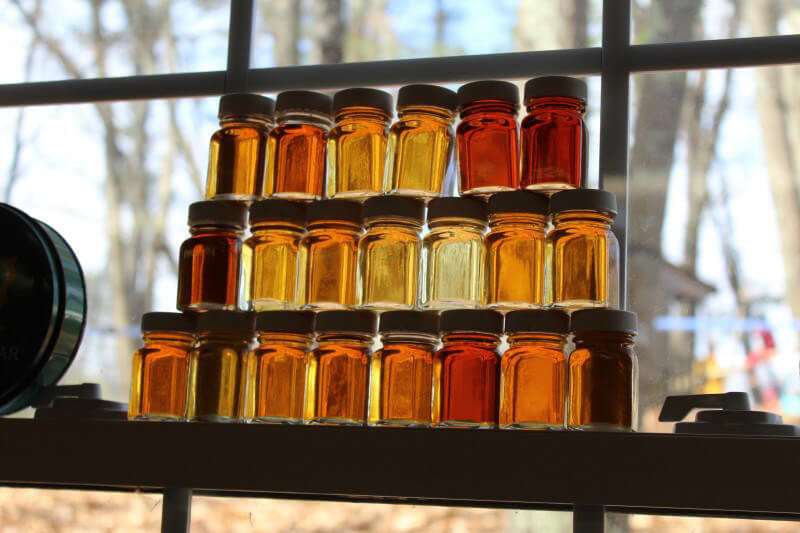 Varies types of Maple Syrup on Maine Maple Sunday