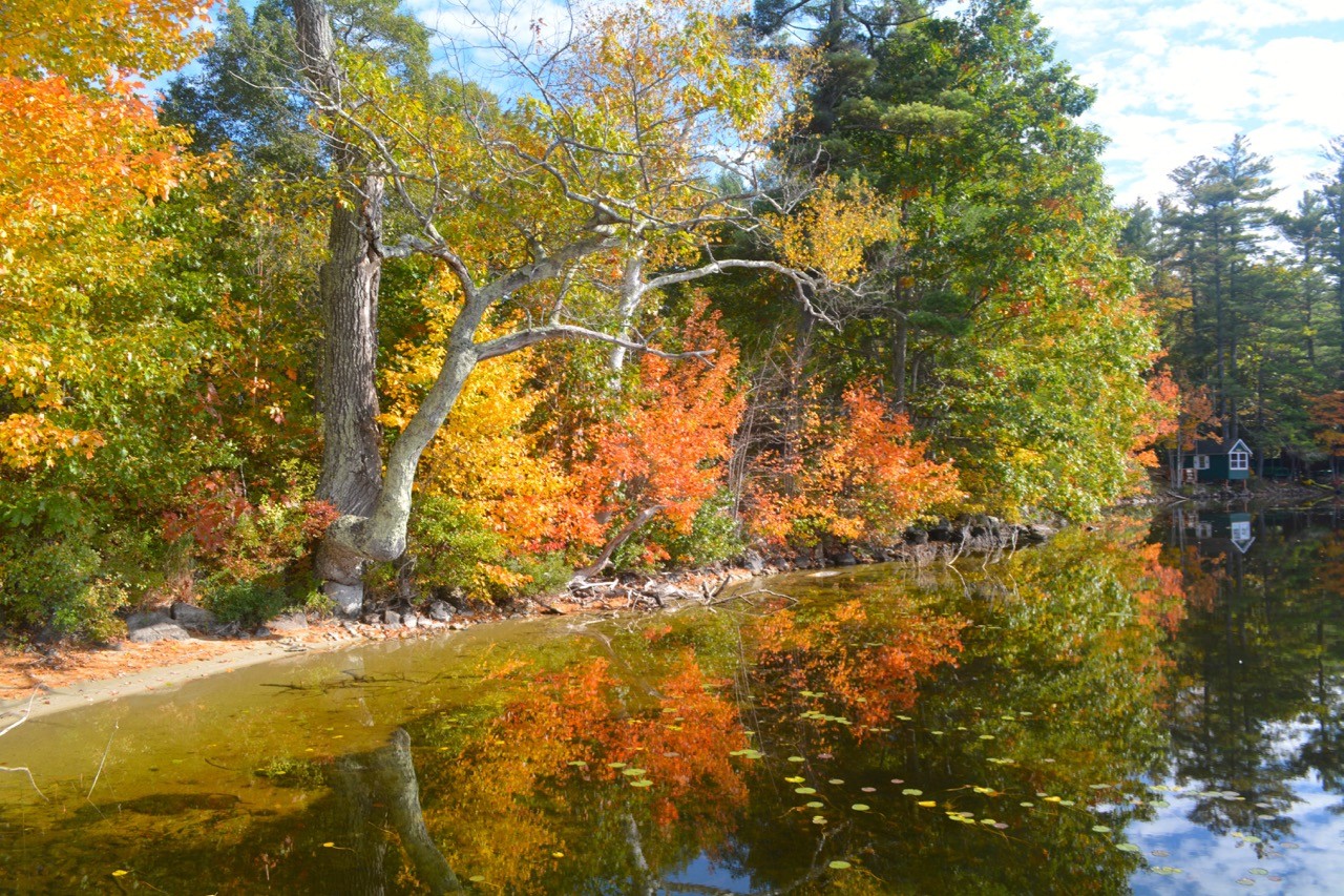 The Truth About Fall Foliage In Maine - Wolf Cove Inn