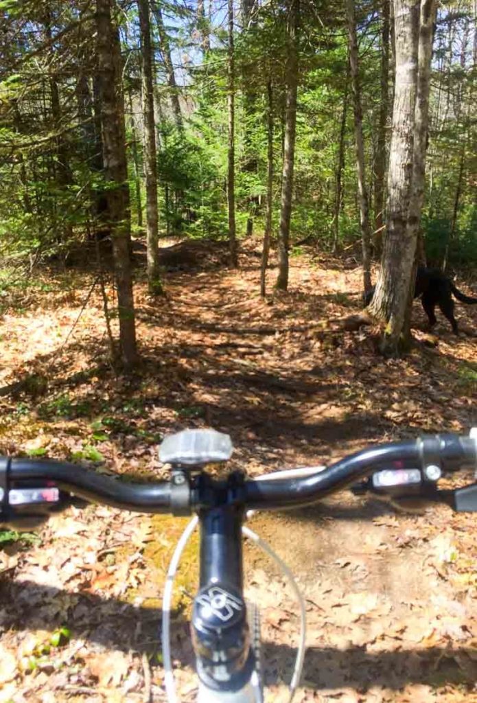 Top Biking Trails in Maine :: 8 of The Best Off Road Trails