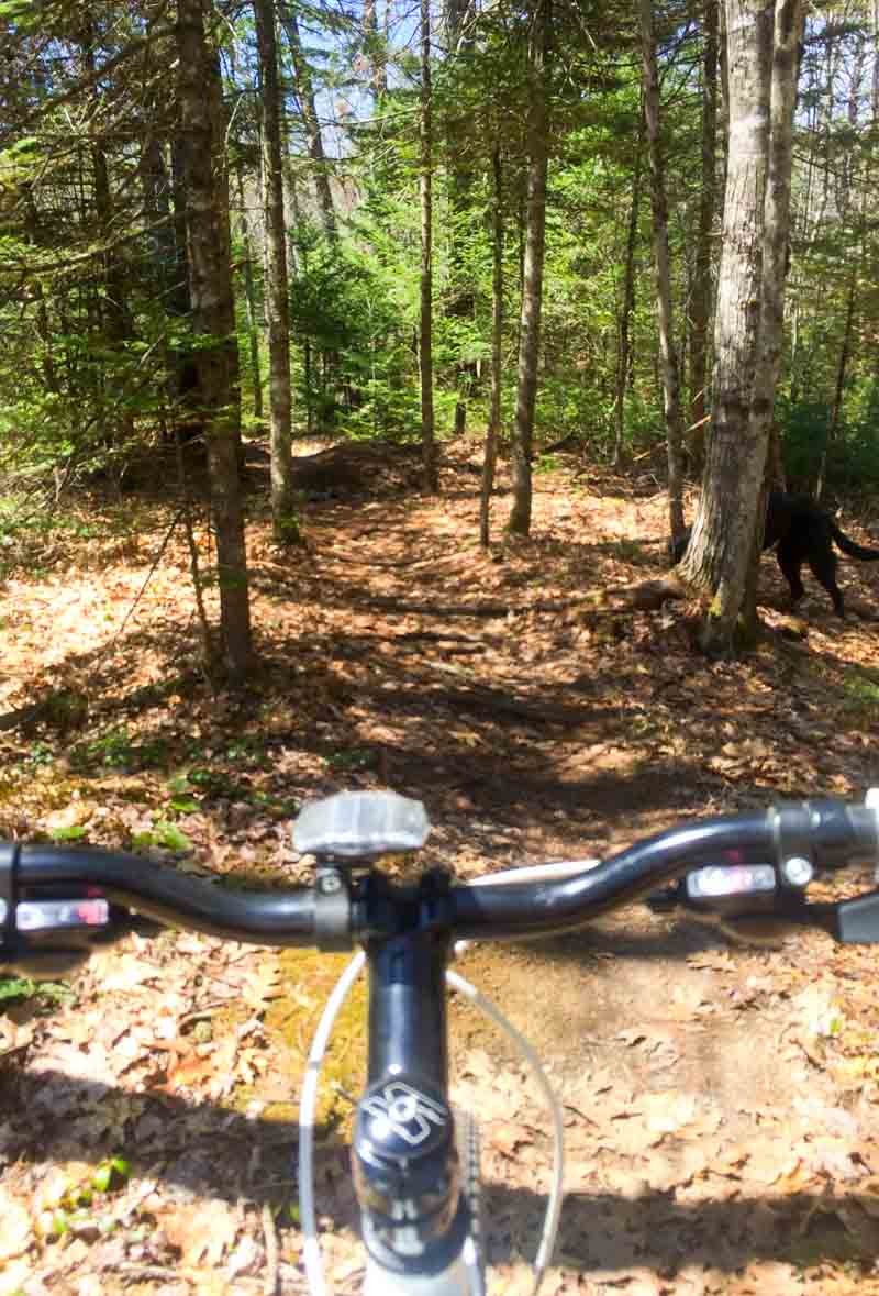 off road biking